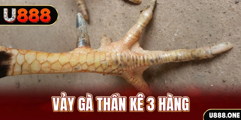 66club nổ hũ đổi thưởng . ai