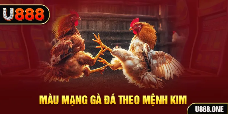 66club gà chọi tiêu phong