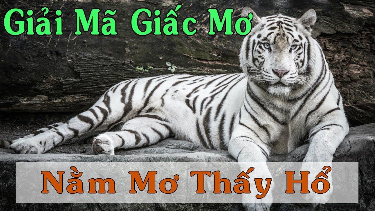 66club xổ số miền trung
