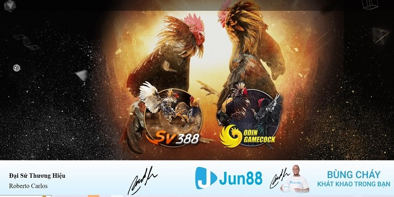 66club xổ số miền nam hàng tuần