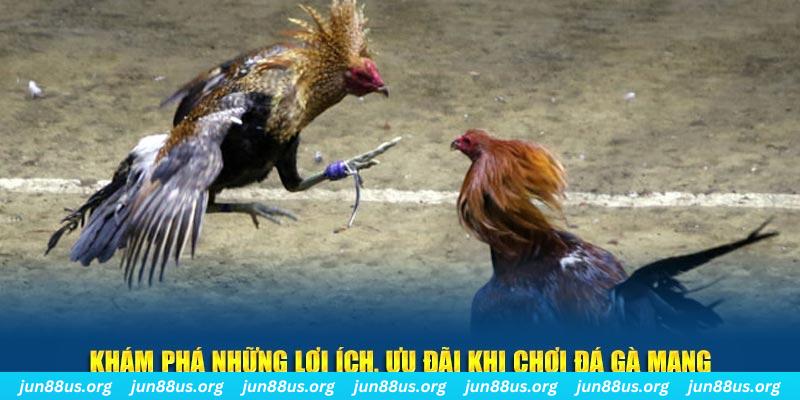 66club Tài Xỉu 2