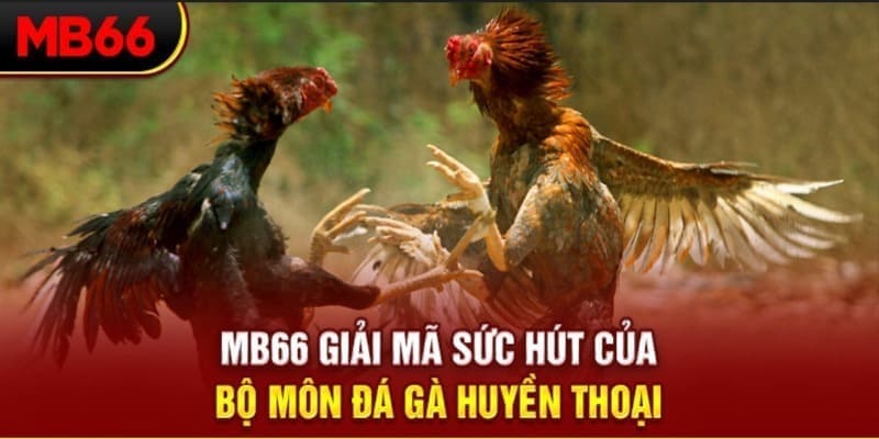 66club long bảo trong baccarat là gì