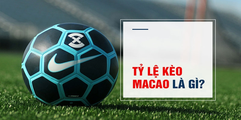 66club Trăm Knorr