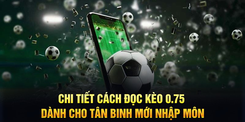 66club sổ xô miên nam hôm nay